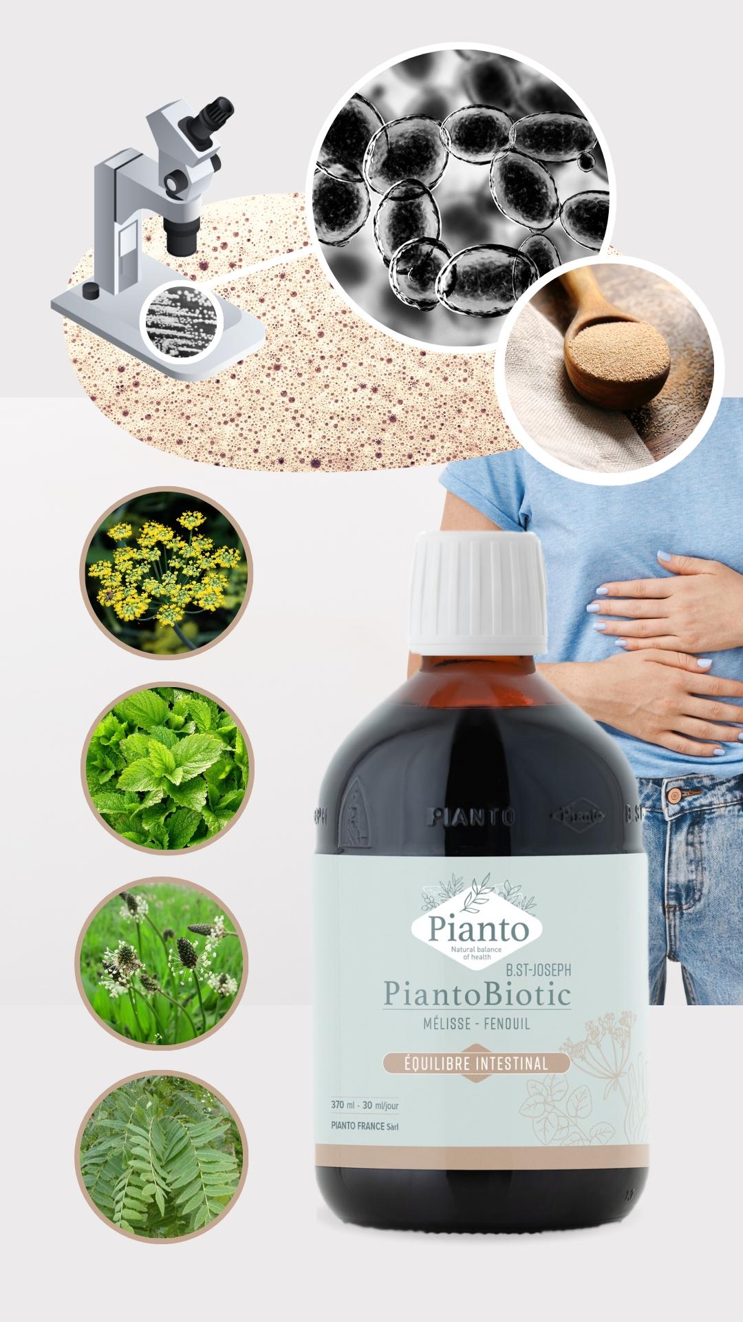 Flacon de PiantoBiotic EQUILIBRE INTESTINAL avec  ses plantes fenouil, mélisse, plantain , arabinogalactanes et focus sur la levure de bière au microscope 