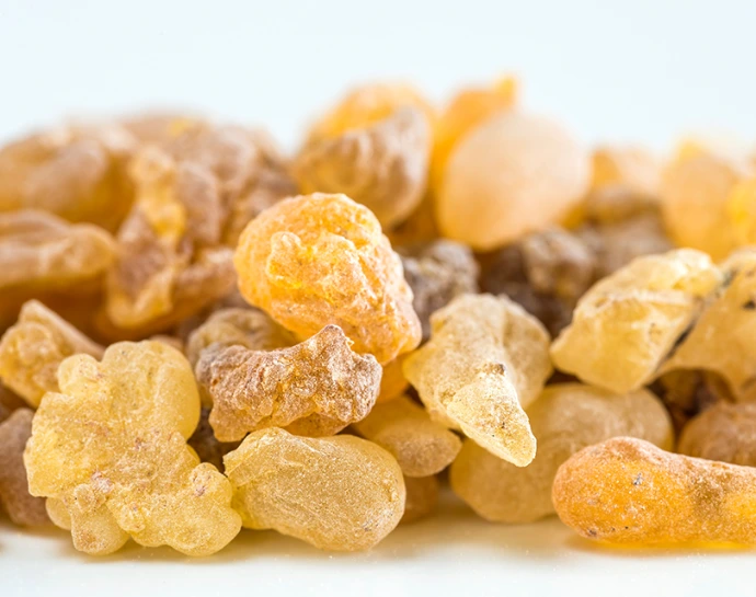 Boswellia