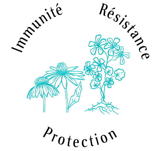 Atouts plantes : immunité, résistance, protection