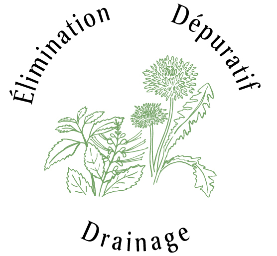 Atouts plantes : élimination, dépuratif, drainage 