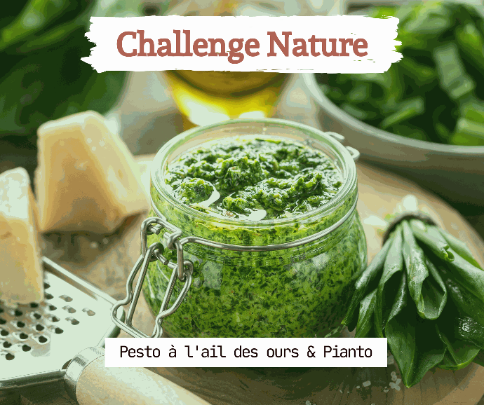 Visuel de pesto à l'ai des ours et au Pianto