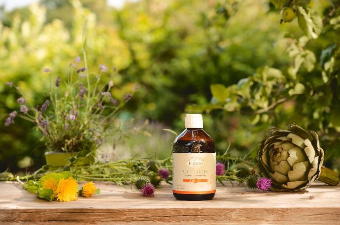 Bouteille de B.St-Joseph Foie dans un jardin
