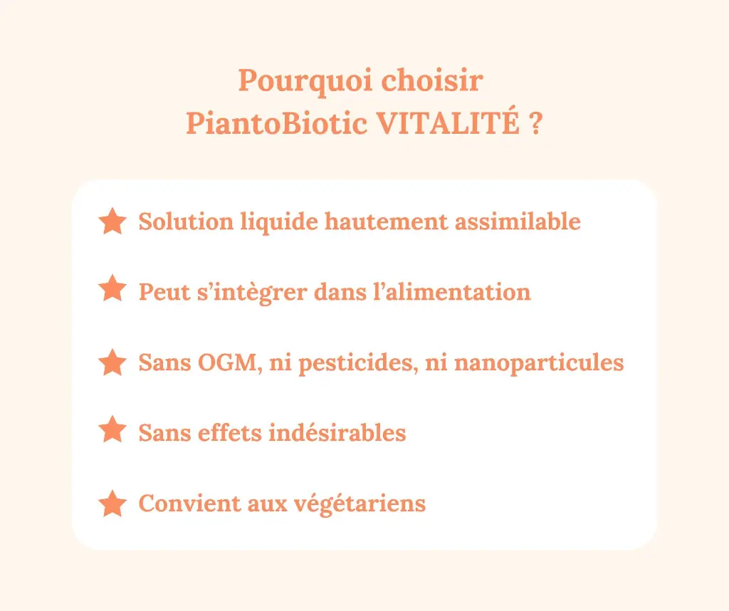 6.webp