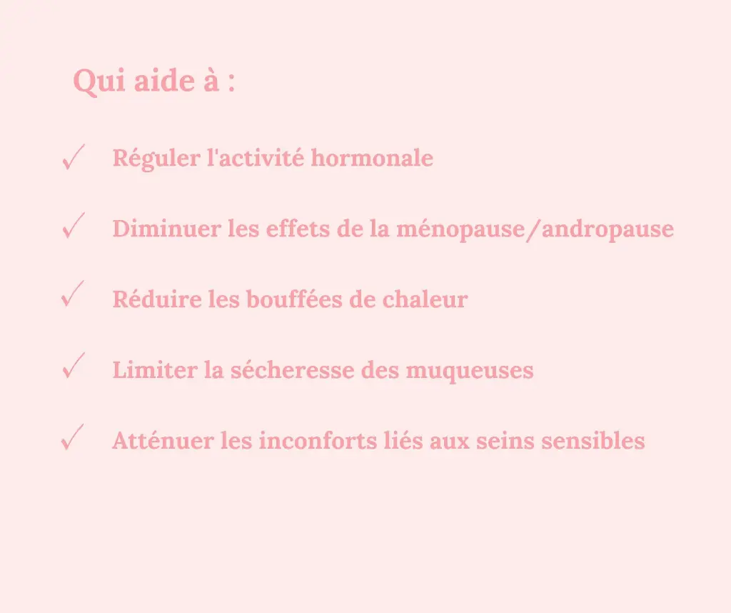 5.webp