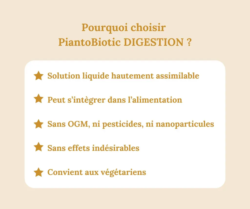 6.webp