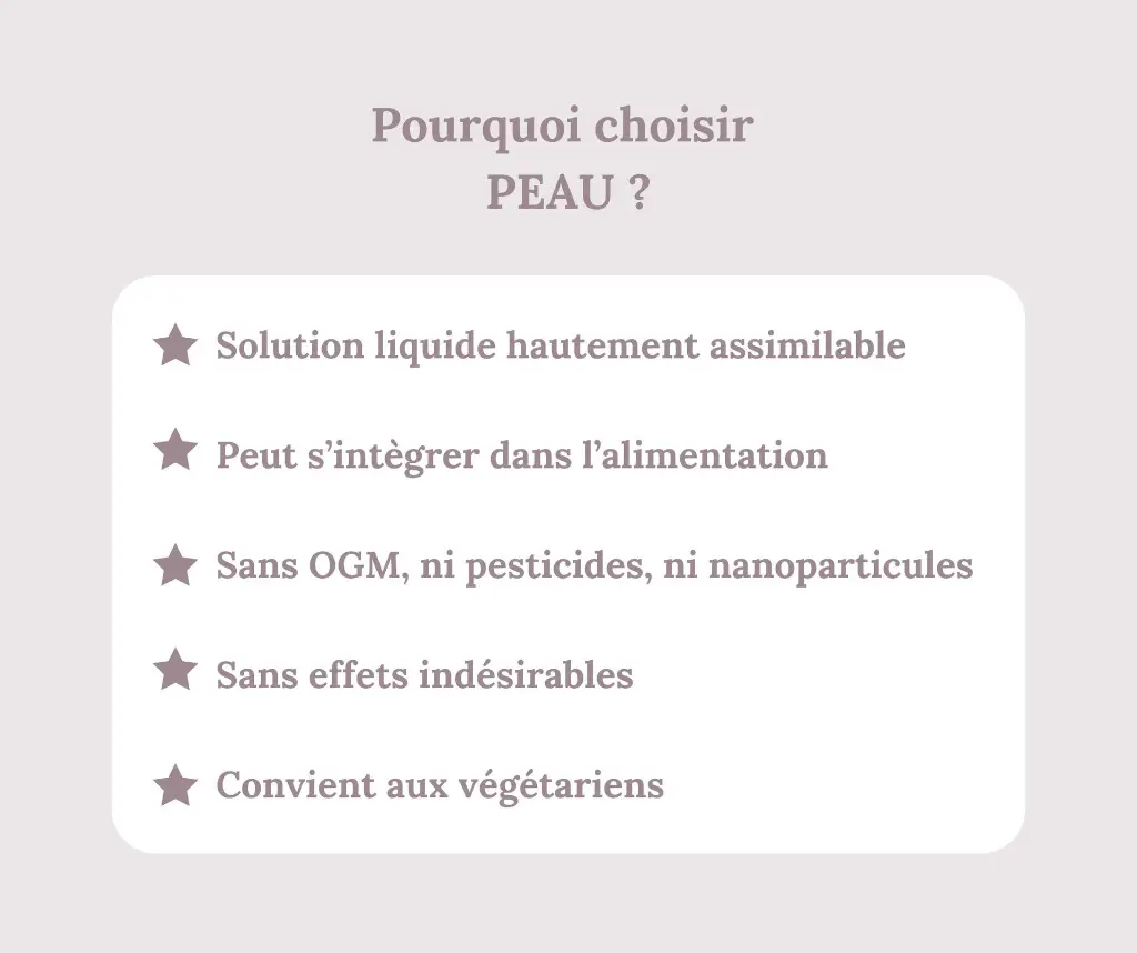 6.webp