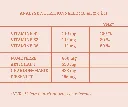 6.webp