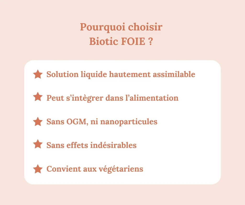 5.webp
