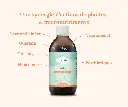 4.webp