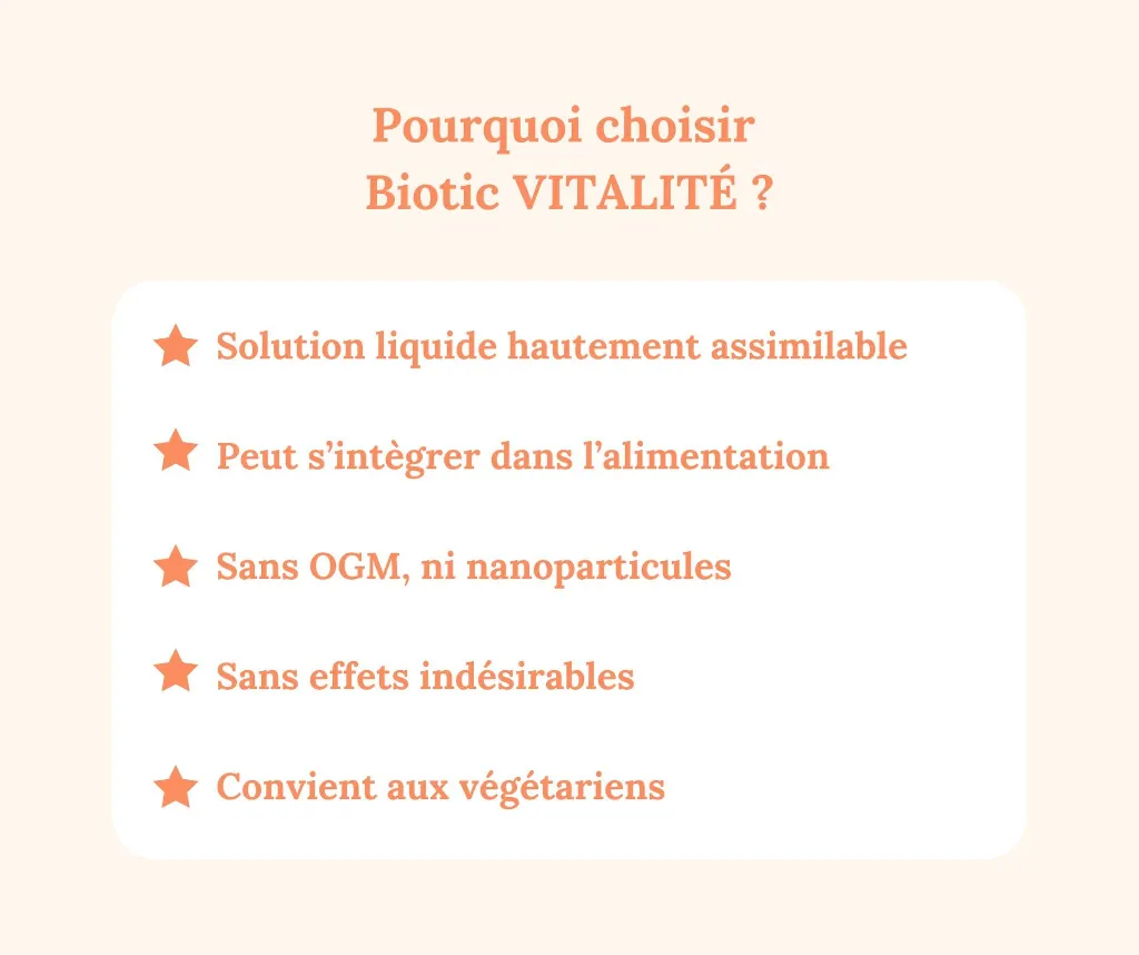 6.webp