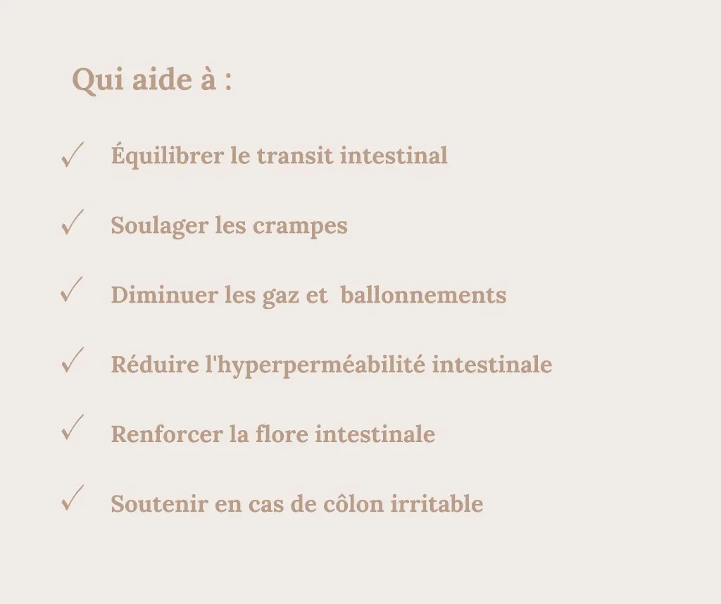 5.webp