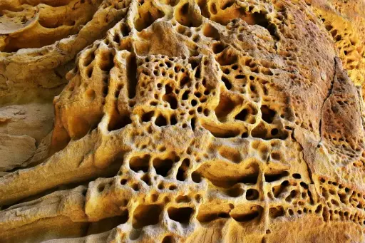 Précieux cholestérol - Docteur Monique Béjat